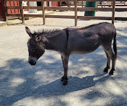 Roger Williams Park Zoo