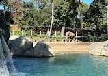 Roger Williams Park Zoo