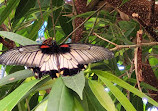 Philadelphia Insectarium and Butterfly Pavilion