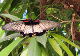 Philadelphia Insectarium and Butterfly Pavilion