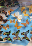 Philadelphia Insectarium and Butterfly Pavilion