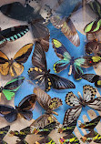 Philadelphia Insectarium and Butterfly Pavilion