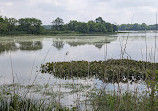 John Heinz National Wildlife Refuge at Tinicum