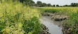 John Heinz National Wildlife Refuge at Tinicum