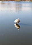 John Heinz National Wildlife Refuge at Tinicum