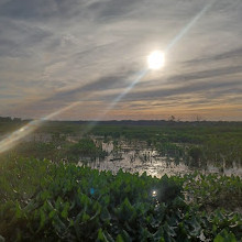 John Heinz National Wildlife Refuge at Tinicum