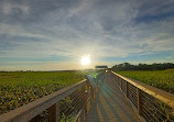 John Heinz National Wildlife Refuge at Tinicum