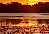 John Heinz National Wildlife Refuge at Tinicum