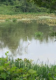 John Heinz National Wildlife Refuge at Tinicum