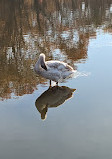 John Heinz National Wildlife Refuge at Tinicum