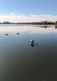 John Heinz National Wildlife Refuge at Tinicum