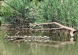 John Heinz National Wildlife Refuge at Tinicum