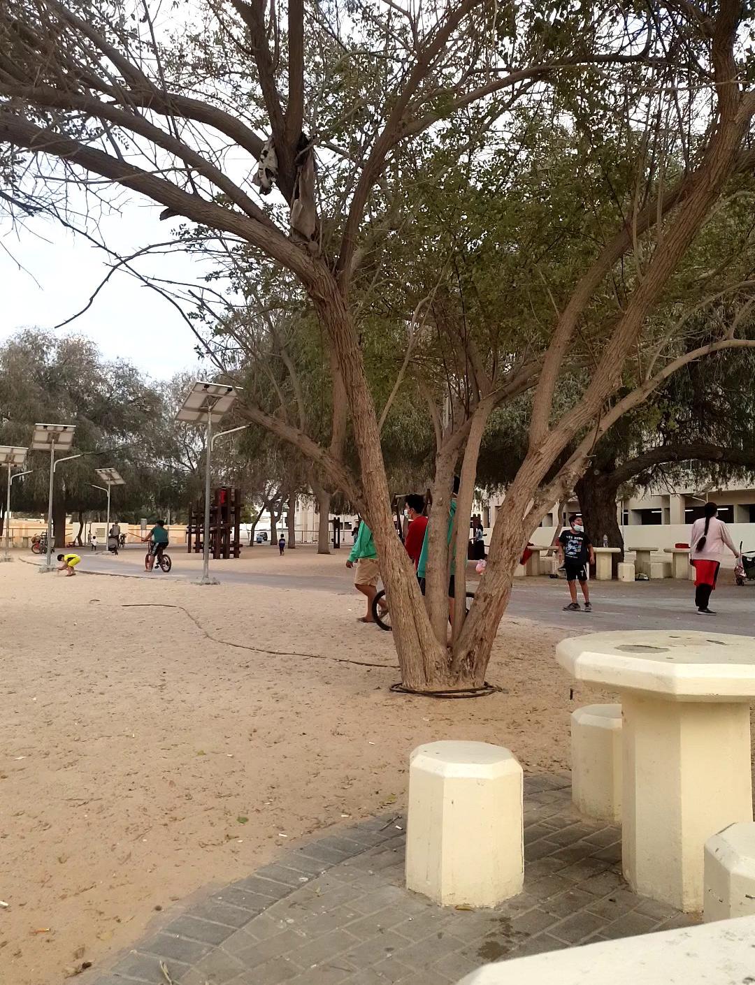 Al Hudaiba Public Park