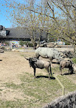 Granby Zoo: Continent Azië