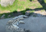 Granby Zoo: Continent Azië