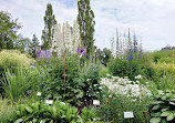 The Botanical Garden