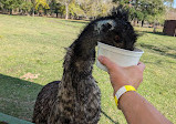 Bayou Wildlife Zoo