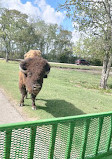 Bayou Wildlife Zoo