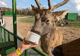 Bayou Wildlife Zoo