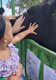 Bayou Wildlife Zoo