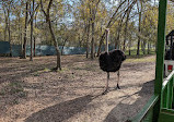 Bayou Wildlife Zoo