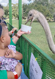 Bayou Wildlife Zoo