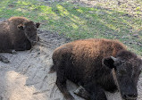 Bayou Wildlife Zoo