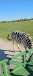 Bayou Wildlife Zoo