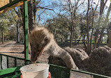 Bayou Wildlife Zoo