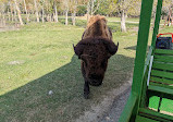 Bayou Wildlife Zoo