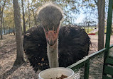 Bayou Wildlife Zoo