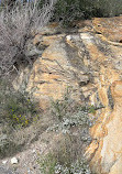 Dinosaur Ridge Trailhead