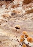 Dinosaur Ridge Trailhead