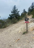 Dinosaur Ridge Trailhead