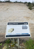 Dinosaur Ridge Trailhead