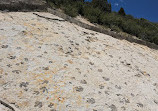 Dinosaur Ridge Trailhead