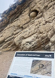 Dinosaur Ridge Trailhead