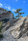 Dinosaur Ridge Trailhead