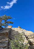 Dinosaur Ridge Trailhead