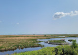 Oak Hammock Marsh Wetland Discovery Centre