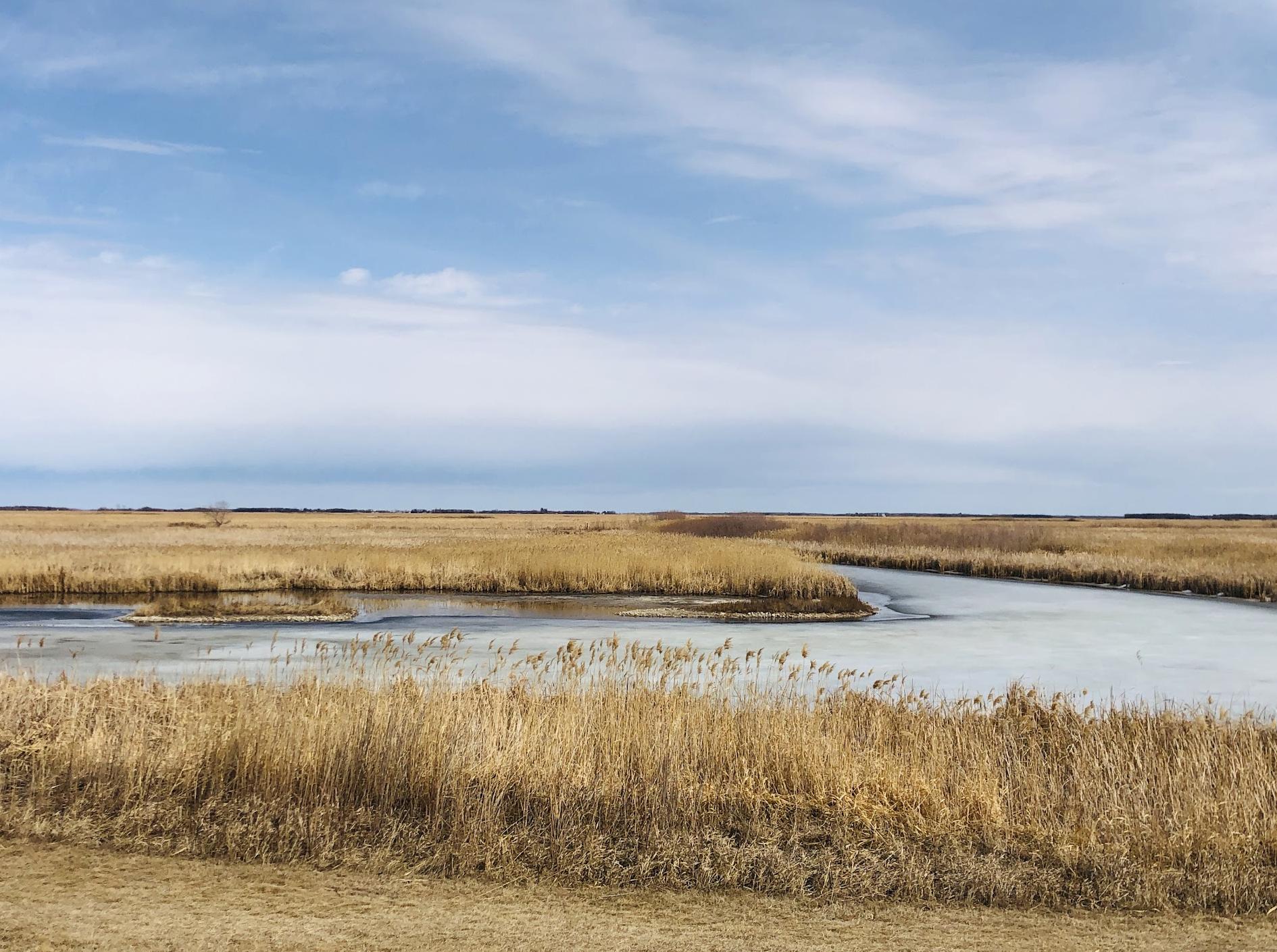 Oak Hammock Marsh