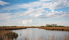 Oak Hammock Marsh