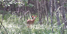 FortWhyte Alive Outdoor Adventure Center