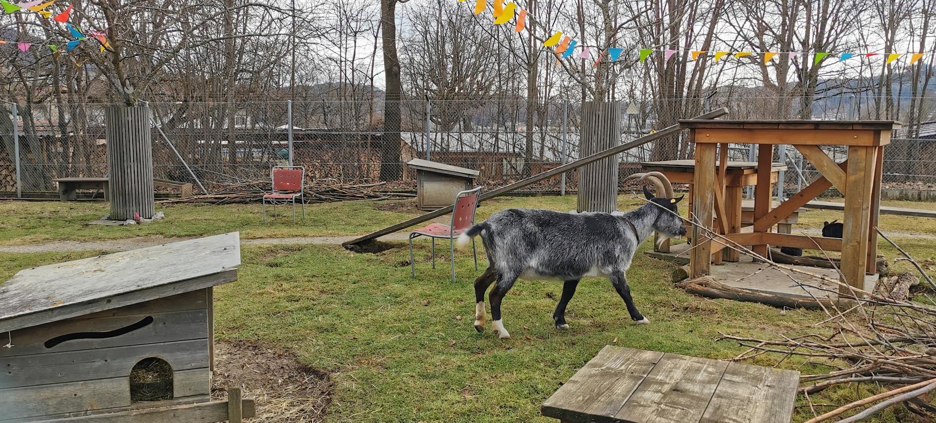 Zoológico de Waldau