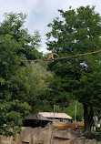 Yerevan Zoo Park