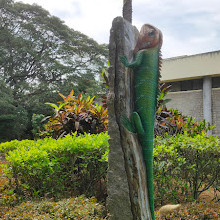 Regional Museum of Natural History Mysore