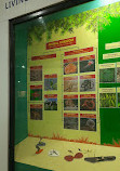 Regional Museum of Natural History Mysore