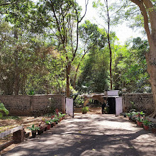 Regional Museum of Natural History Mysore