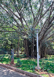 Regional Museum of Natural History Mysore