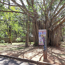 Regional Museum of Natural History Mysore